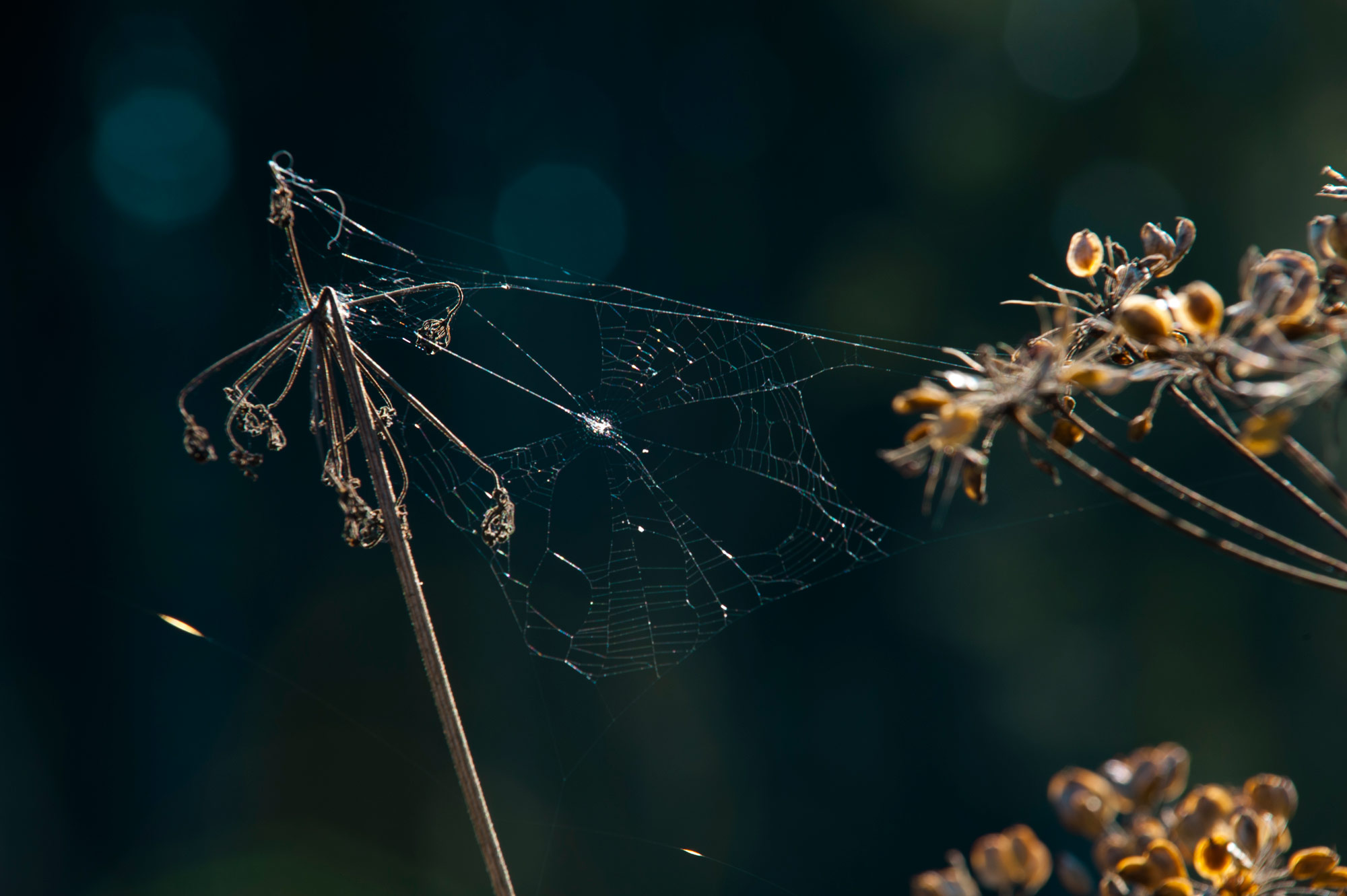 werbefotograf balingen